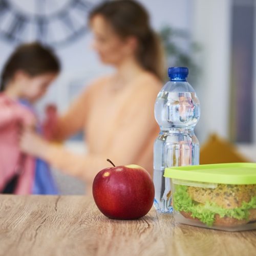 Cheap Healthy School Lunches